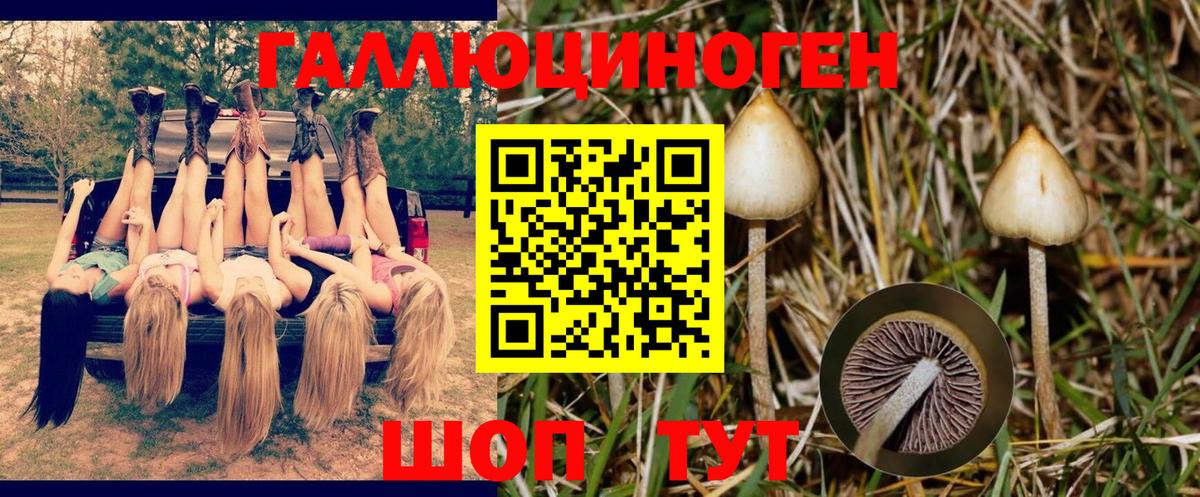 Псилоцибиновые грибы ЛСД Касимов